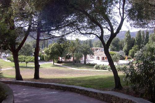 Original image
