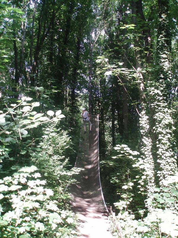 P6090027