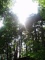P6090026