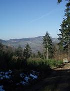 P2040034