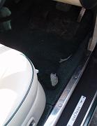 P9110103