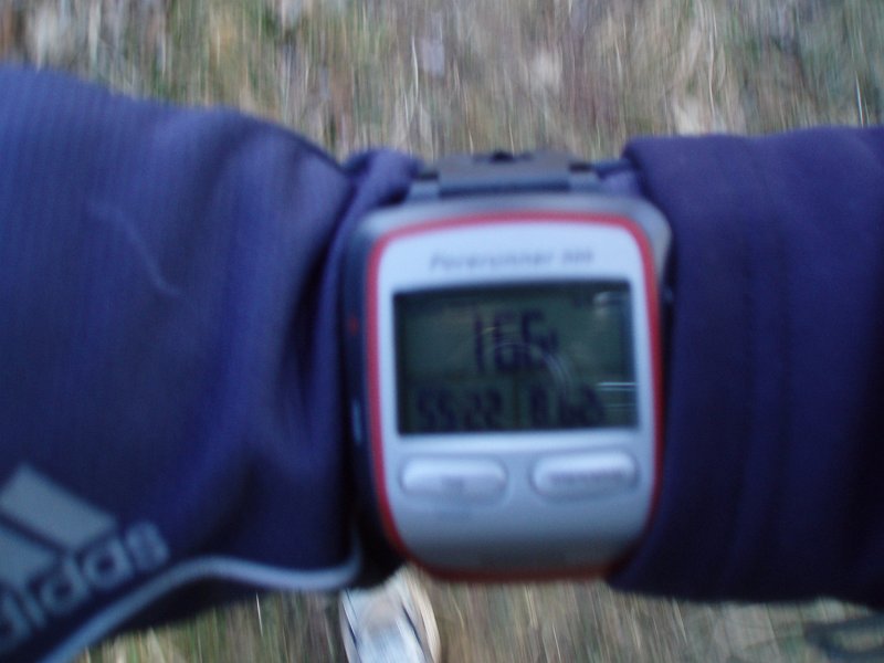 P1270034.JPG