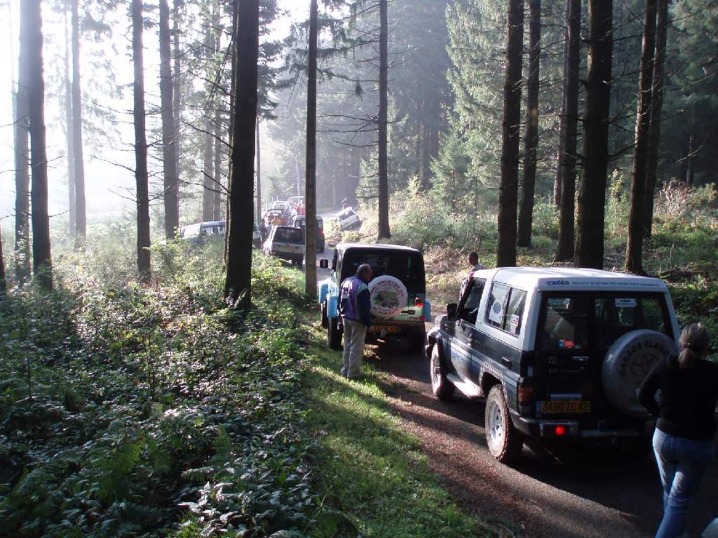 Original image