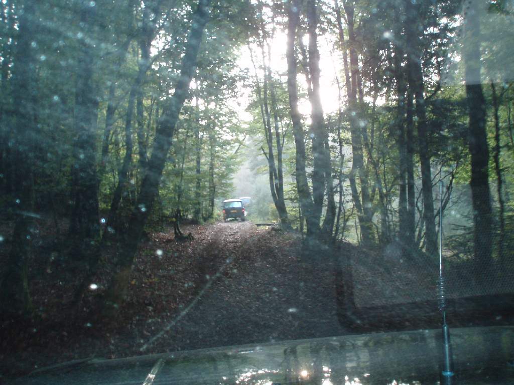 Original image