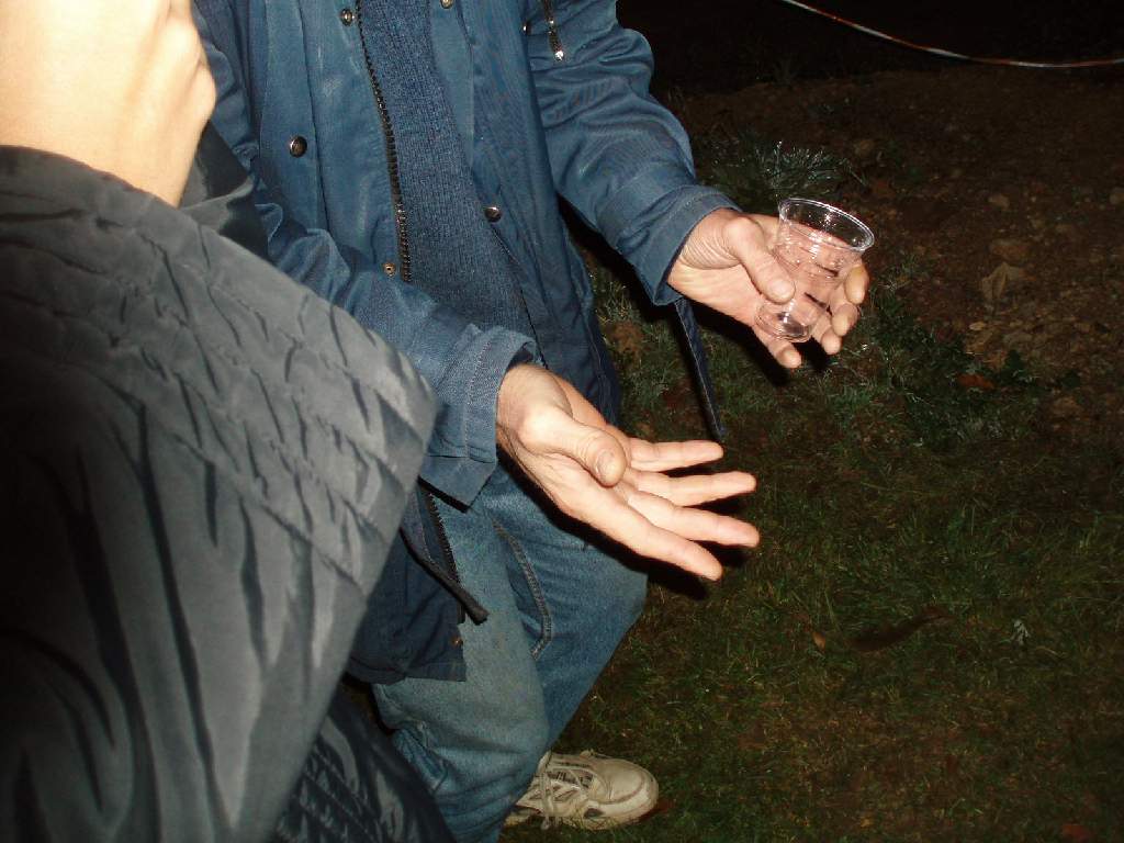 Original image